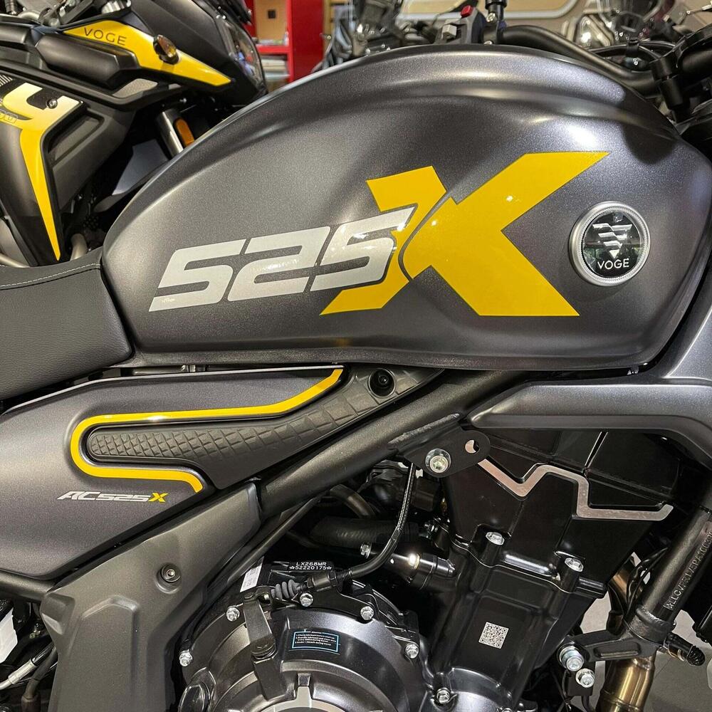 Voge Trofeo 525ACX Scrambler (2023 - 26) (8)