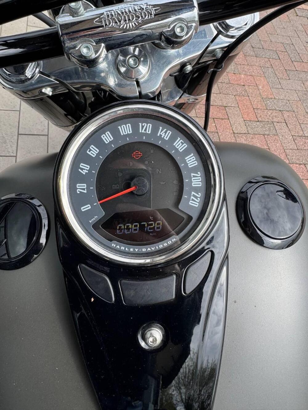 Harley-Davidson 107 Slim (2018 - 20) - FLSL (5)