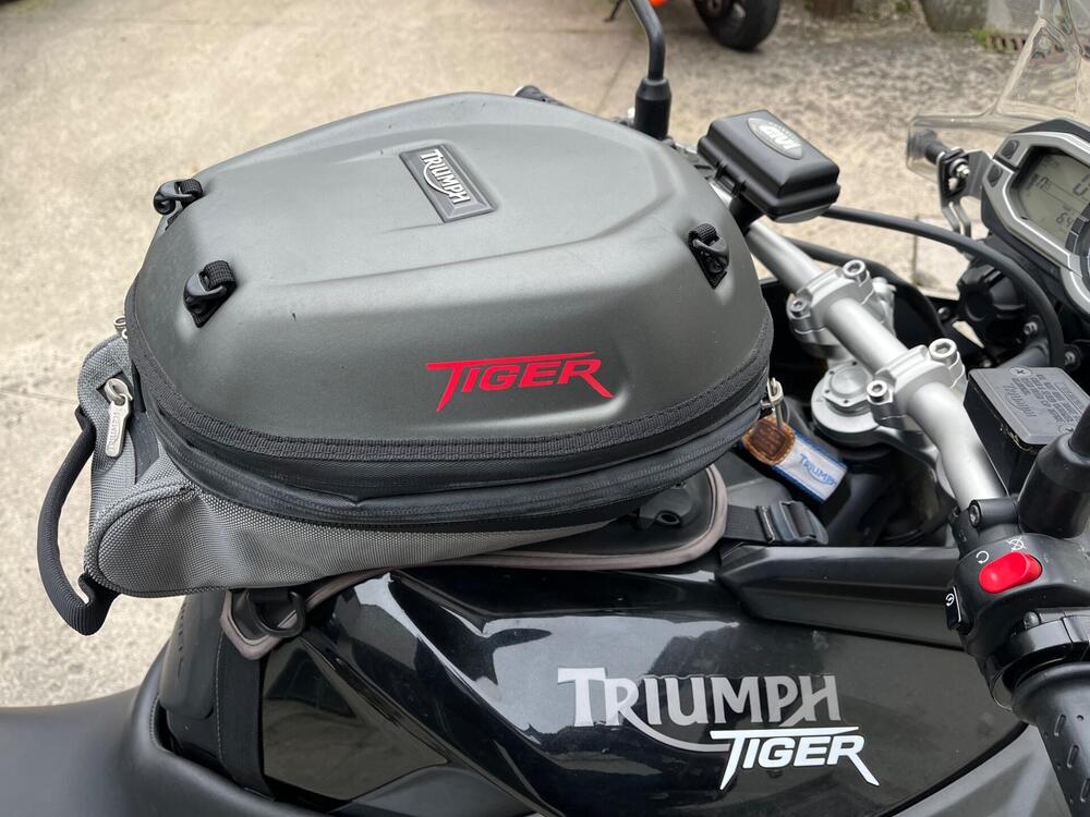 Triumph Tiger 800 ABS (2010 - 14) (12)
