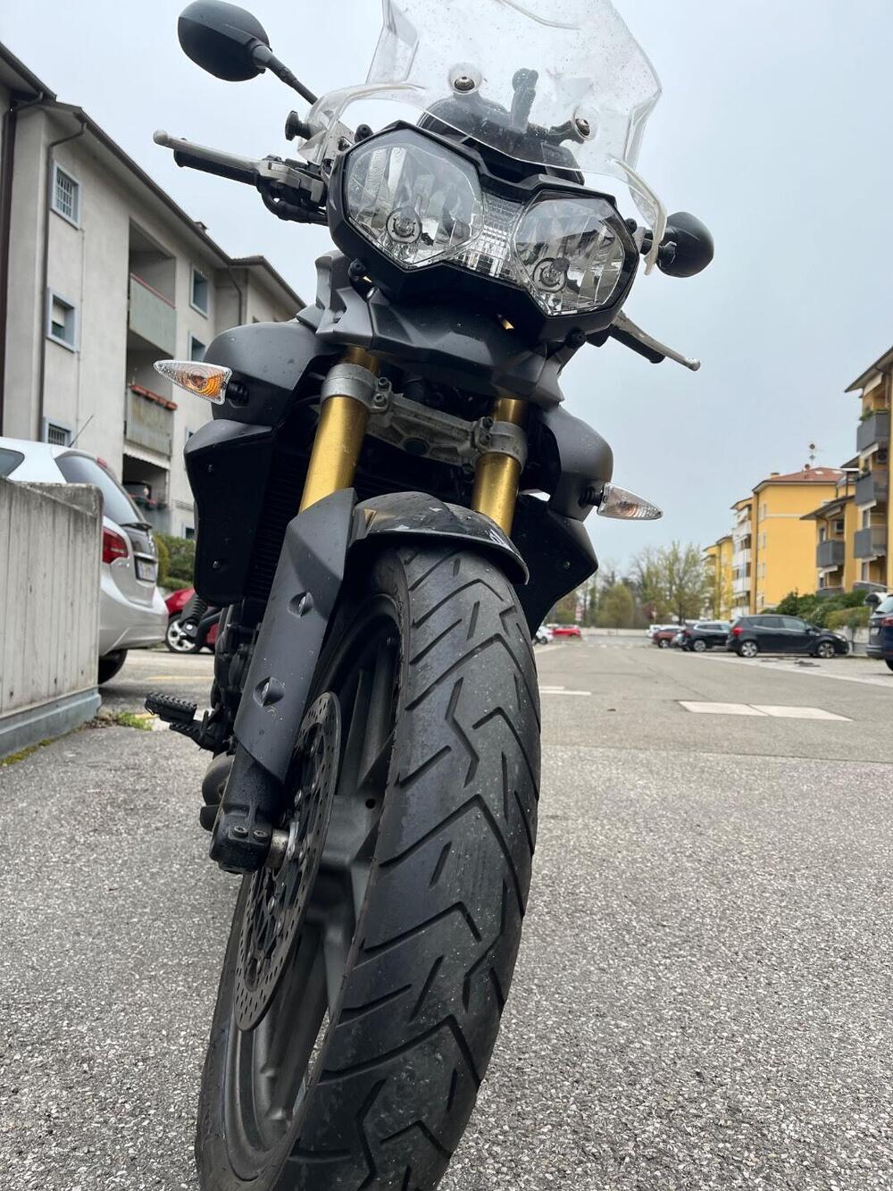 Triumph Tiger 800 ABS (2010 - 14) (3)