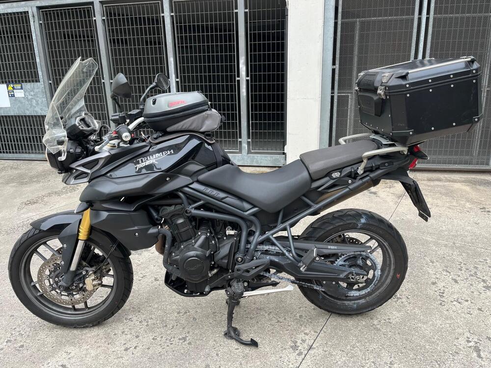 Triumph Tiger 800 ABS (2010 - 14) (5)