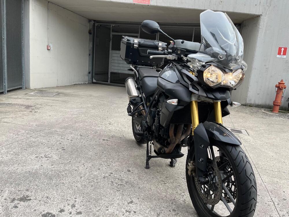 Triumph Tiger 800 ABS (2010 - 14) (10)