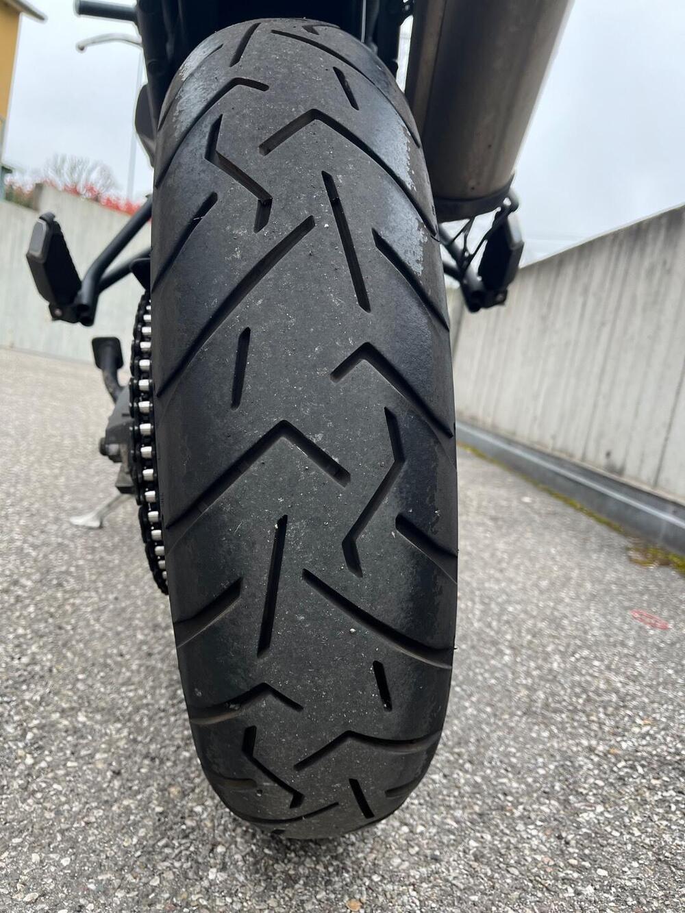 Triumph Tiger 800 ABS (2010 - 14) (15)