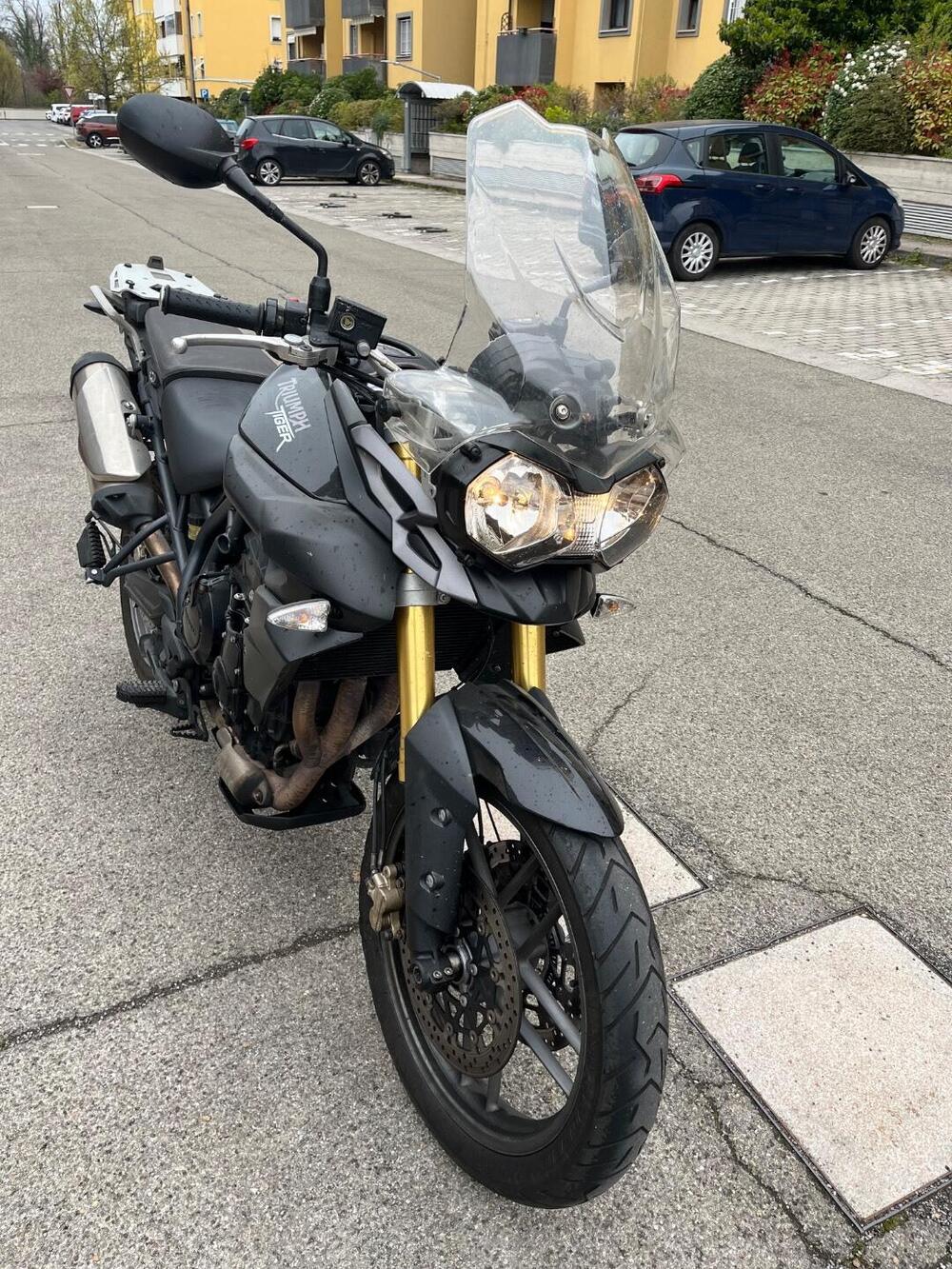 Triumph Tiger 800 ABS (2010 - 14) (9)