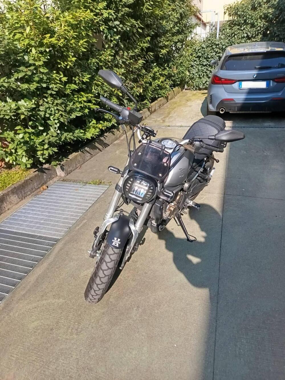 Voge Trofeo 300ACX Scrambler (2021 - 26) (2)