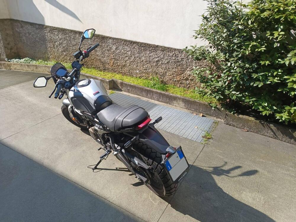 Voge Trofeo 300ACX Scrambler (2021 - 26) (3)