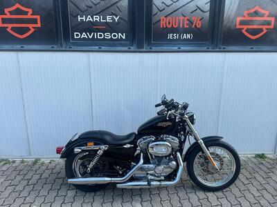 Harley-Davidson 883 Low (2008 - 12) - XL 883L usata
