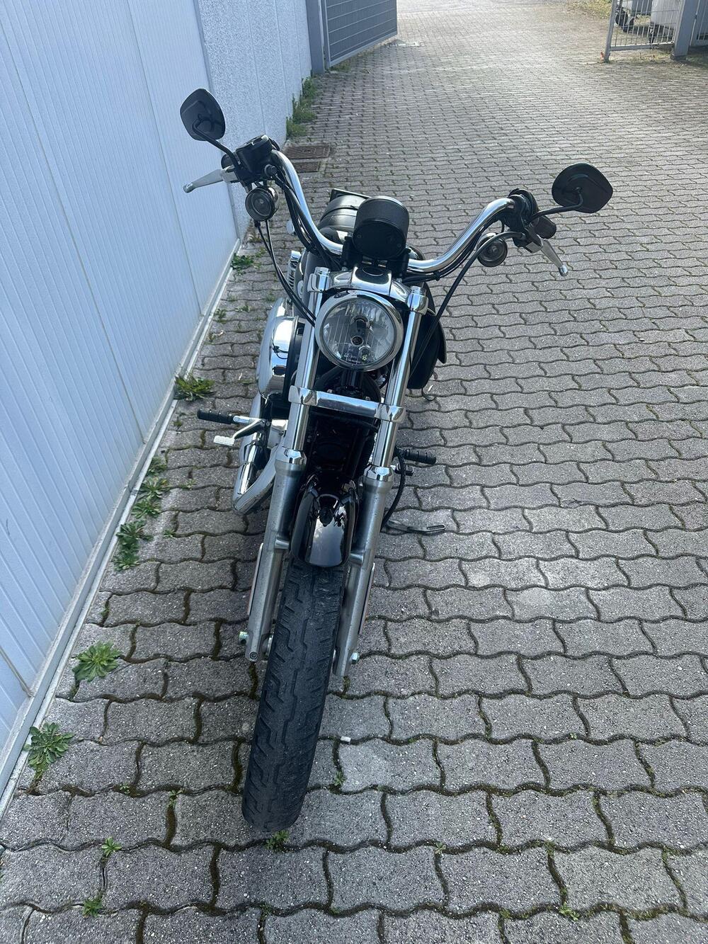 Harley-Davidson 883 Low (2008 - 12) - XL 883L (9)