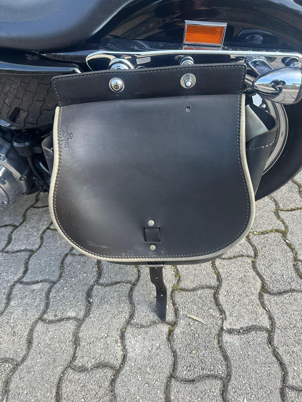 Harley-Davidson 883 Low (2008 - 12) - XL 883L (6)