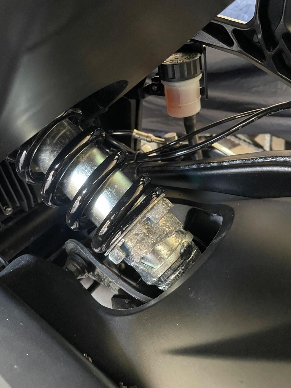 Triumph Trident 660 (2021 - 24) (6)