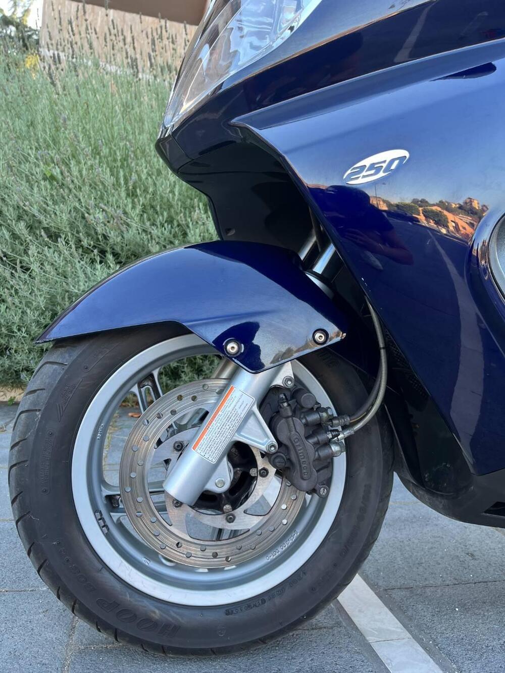 Aprilia Atlantic 250 (2004 - 11) (3)