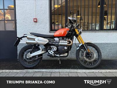 Triumph Scrambler 1200 XE (2024 - 25) usata