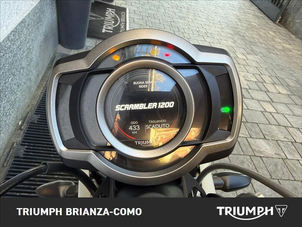 Triumph Scrambler 1200 XE (2024 - 25) (5)