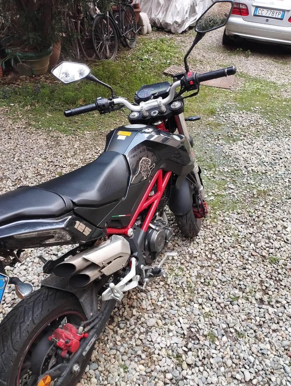 Benelli Tornado Naked T 125 (2017 - 20) (2)