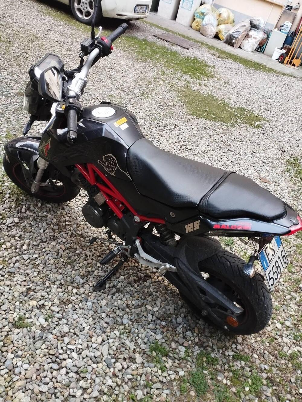 Benelli Tornado Naked T 125 (2017 - 20) (3)