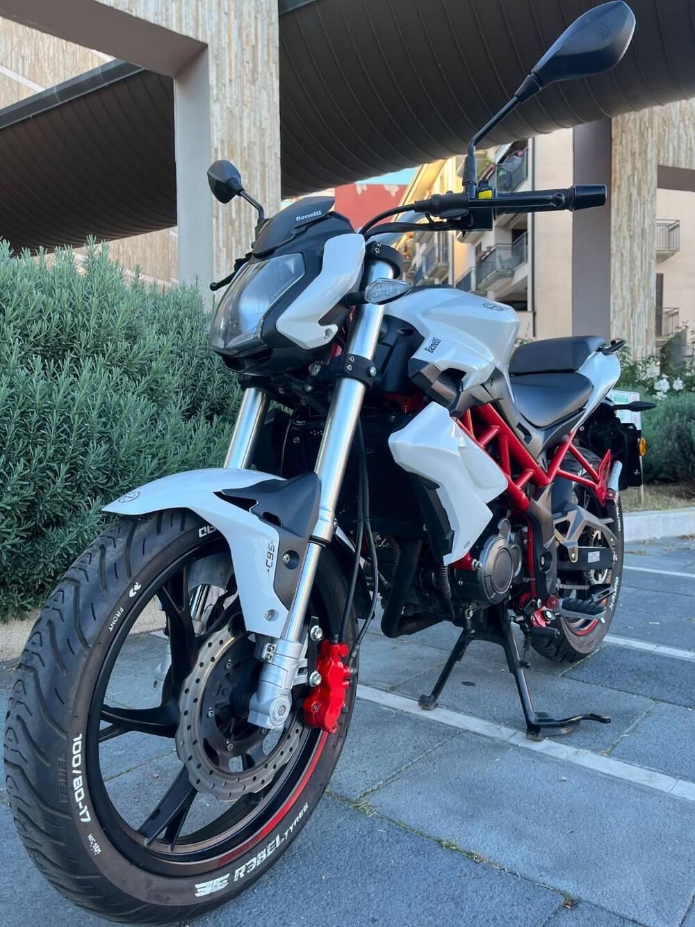 Benelli BN 125 (2018 - 20) (14)