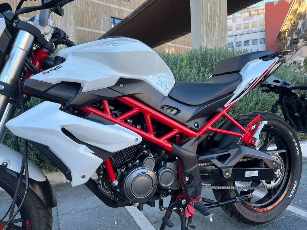 Benelli BN 125 (2018 - 20) (16)
