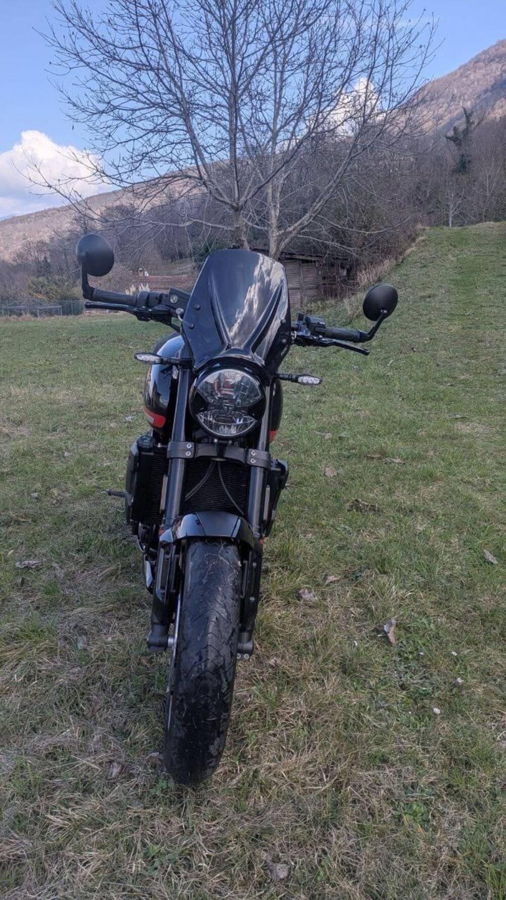 Triumph Trident 660 (2021 - 24) (3)