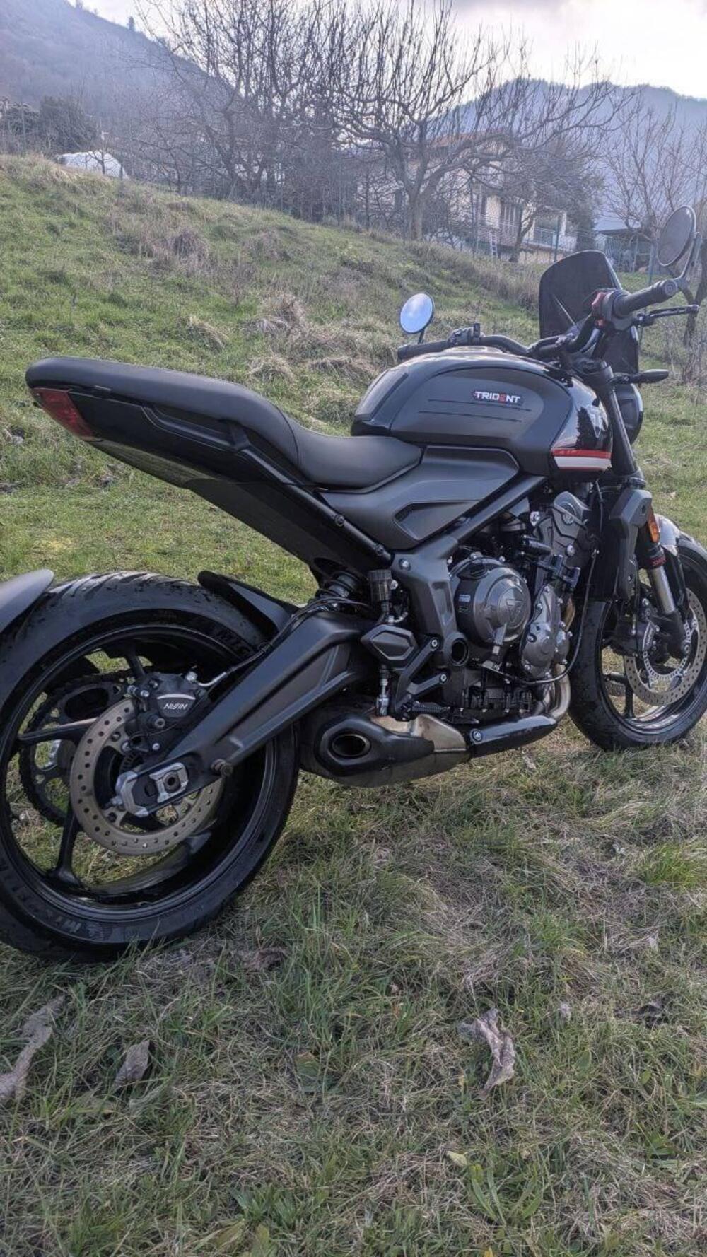 Triumph Trident 660 (2021 - 24) (6)