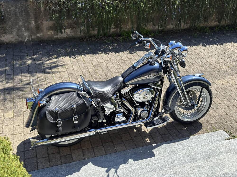 Harley-Davidson 1450 Heritage Springer (2000 - 03) - FLSTS (4)