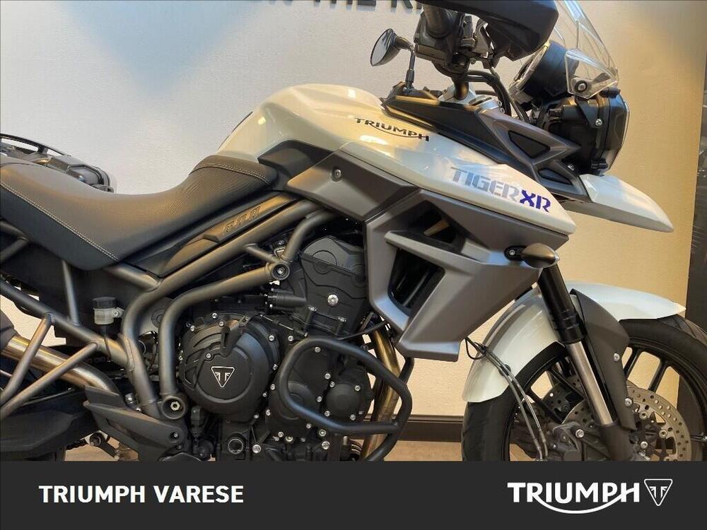Triumph Tiger 800 XR (2015 - 17) (5)
