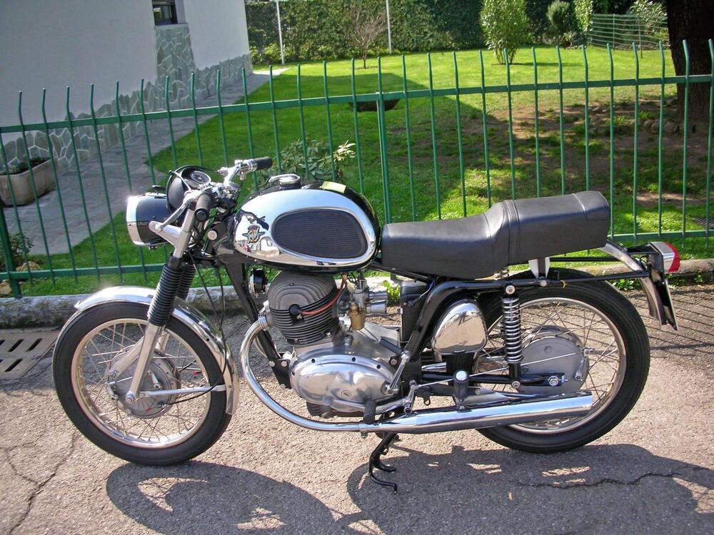 MV Agusta 250 Bicilindrica iscritta ASI (2)