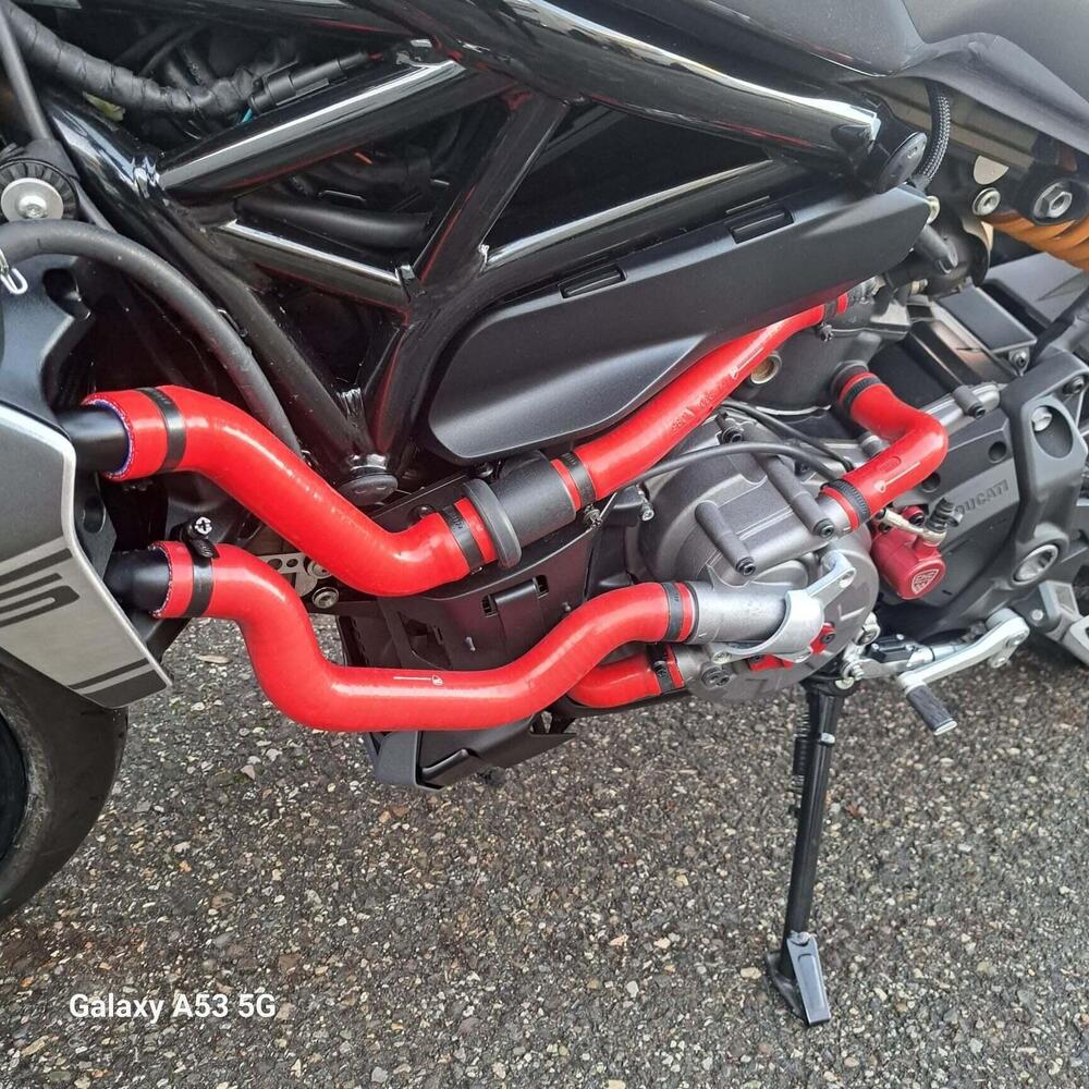 Ducati Monster 1200 S (2017 - 21) (9)