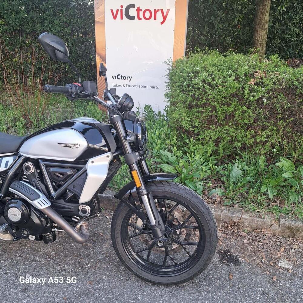 Ducati Scrambler 800 Icon (2023 - 24) (6)