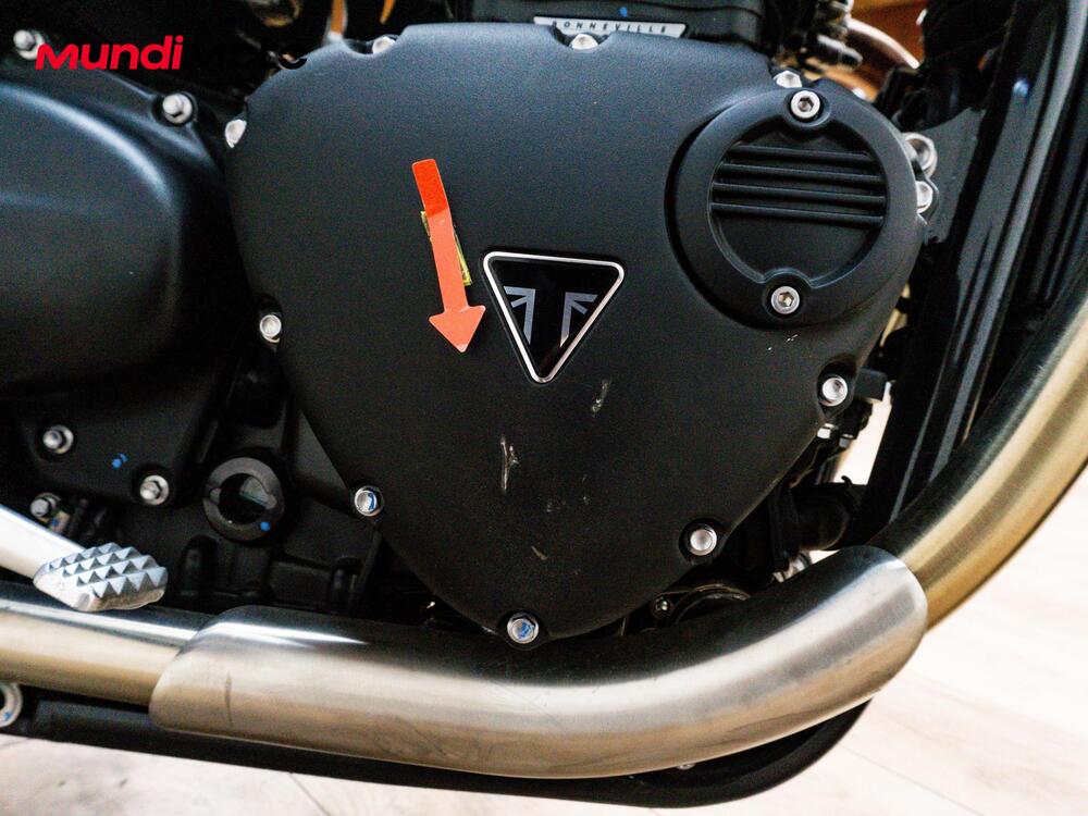 Triumph Speed Twin 900 (2023 - 24) (12)