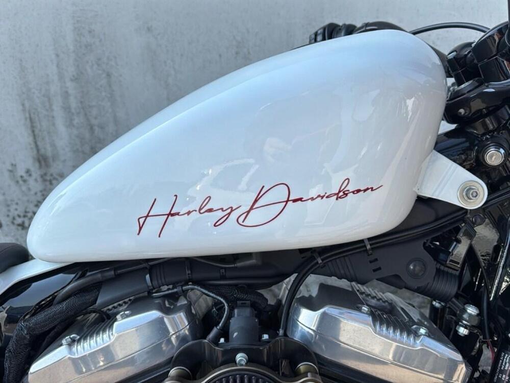 Harley-Davidson 1200 Forty-Eight (2016 - 20) (13)