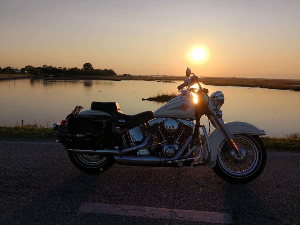 Harley-Davidson 1450 Heritage Classic (1999 - 02) - FLSTC (3)