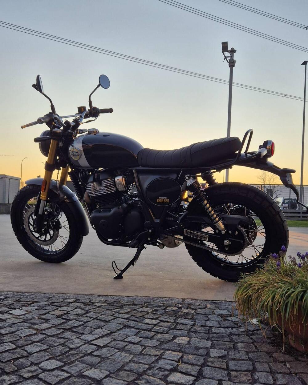 Royal Enfield Bear 650 (2025 - 26) (3)