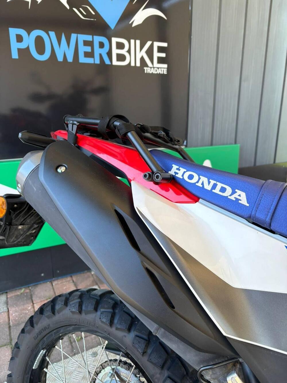 Honda CRF 300 Rally (2025 - 26) (6)