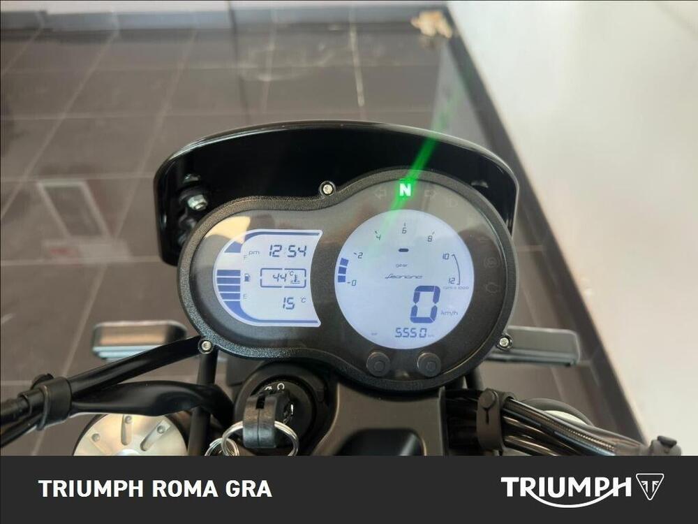 Benelli Leoncino 500 (2021 - 25) (4)