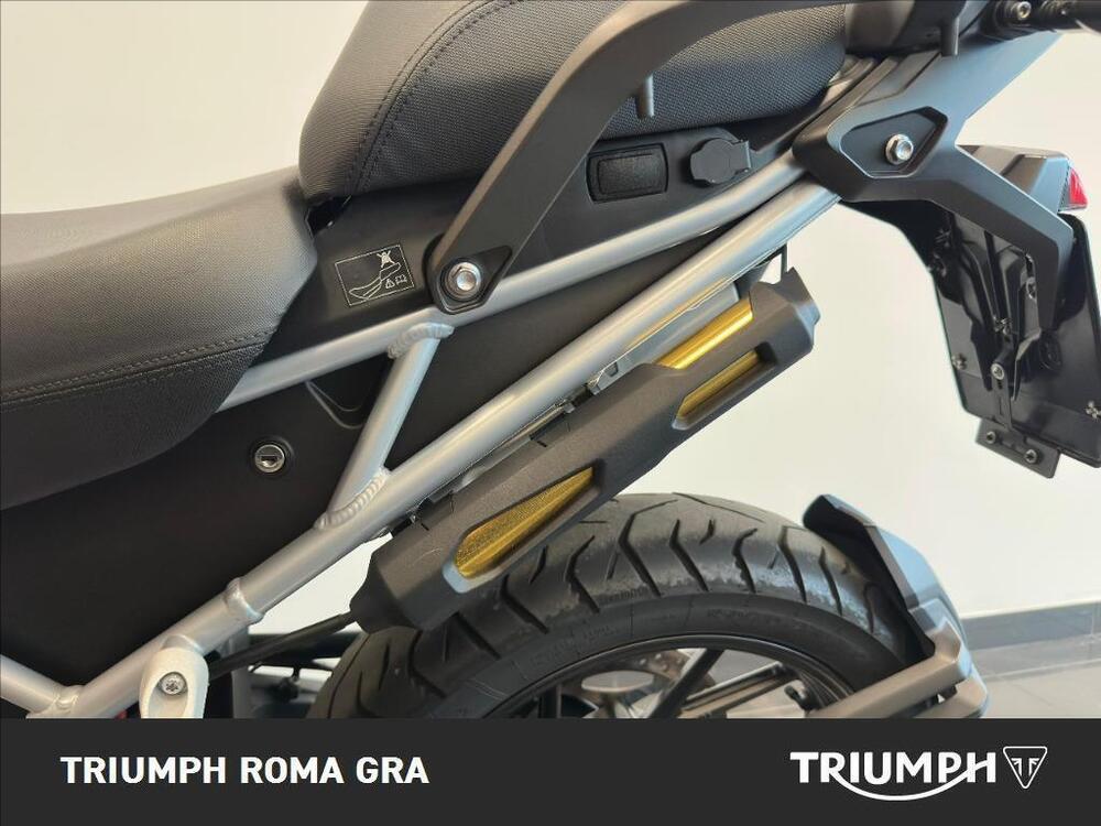 Triumph Tiger 1200 GT Pro (2024 - 26) (9)