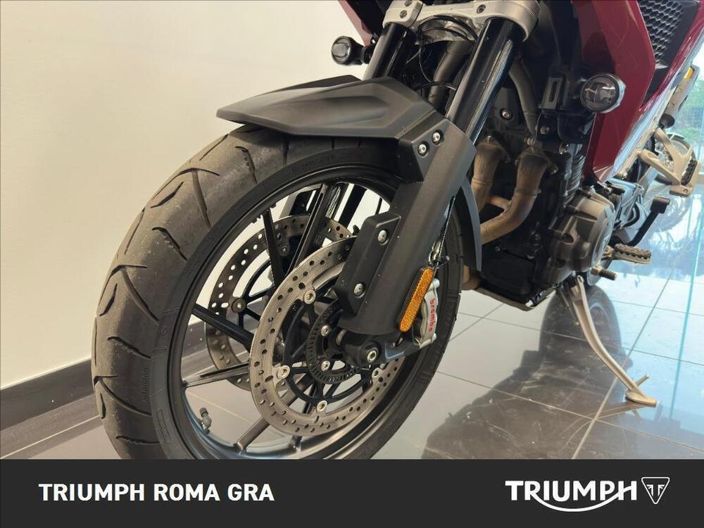 Triumph Tiger 1200 GT Pro (2024 - 26) (7)