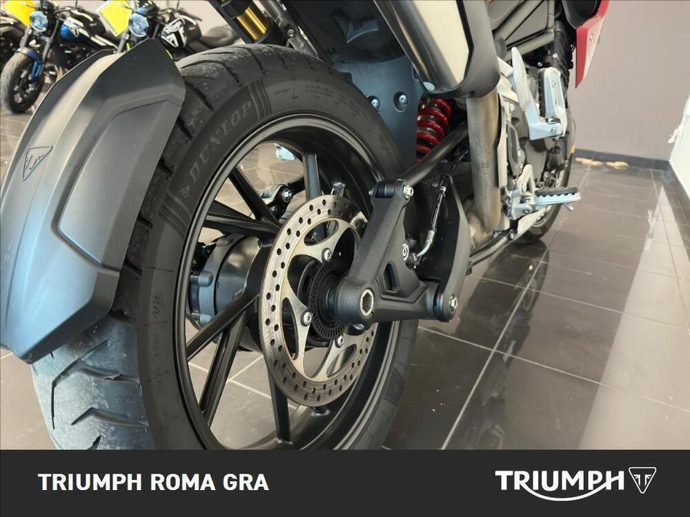 Triumph Tiger 1200 GT Pro (2024 - 26) (11)