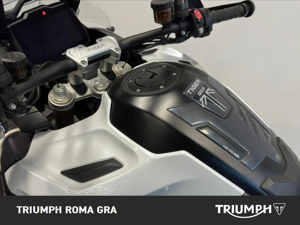 Triumph Tiger 1200 Rally Explorer (2022 - 23) (6)