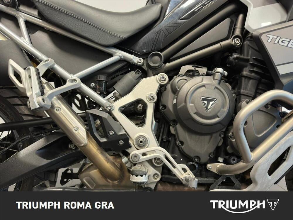 Triumph Tiger 1200 Rally Explorer (2022 - 23) (17)