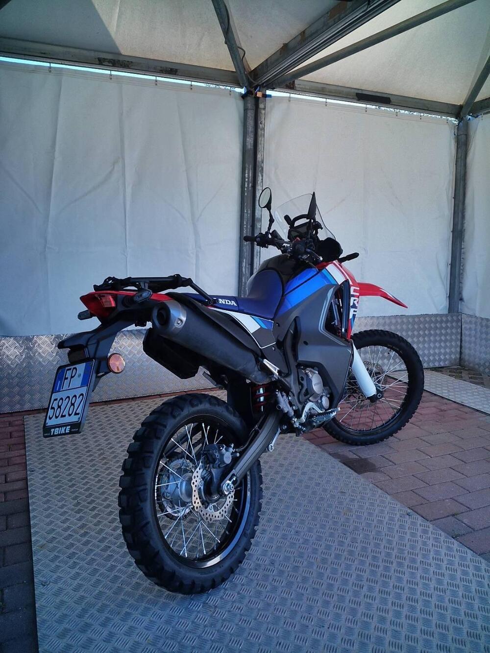 Honda CRF 300 Rally (2025 - 26) (4)