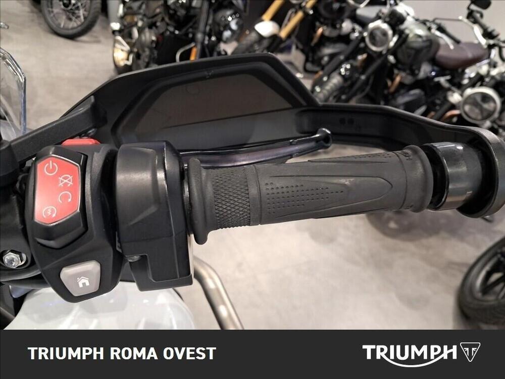 Triumph Tiger 1200 GT Pro (2022 - 23) (15)