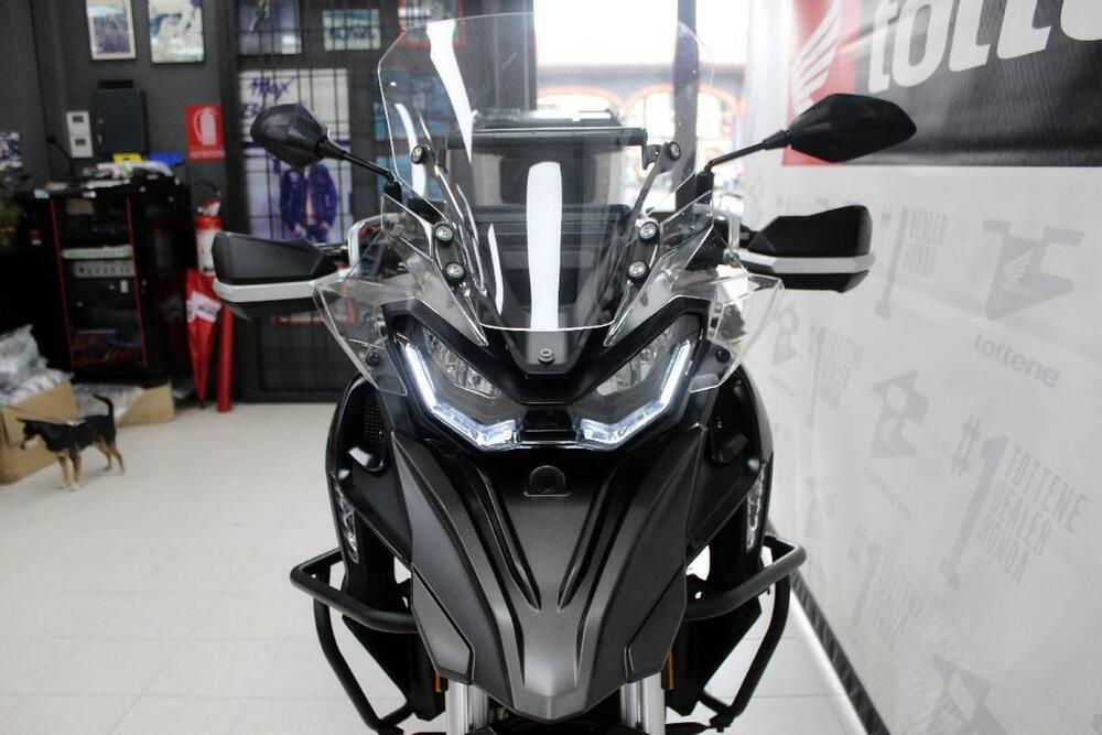 QJ Motor SRT 800 SX (2024 - 25) (4)