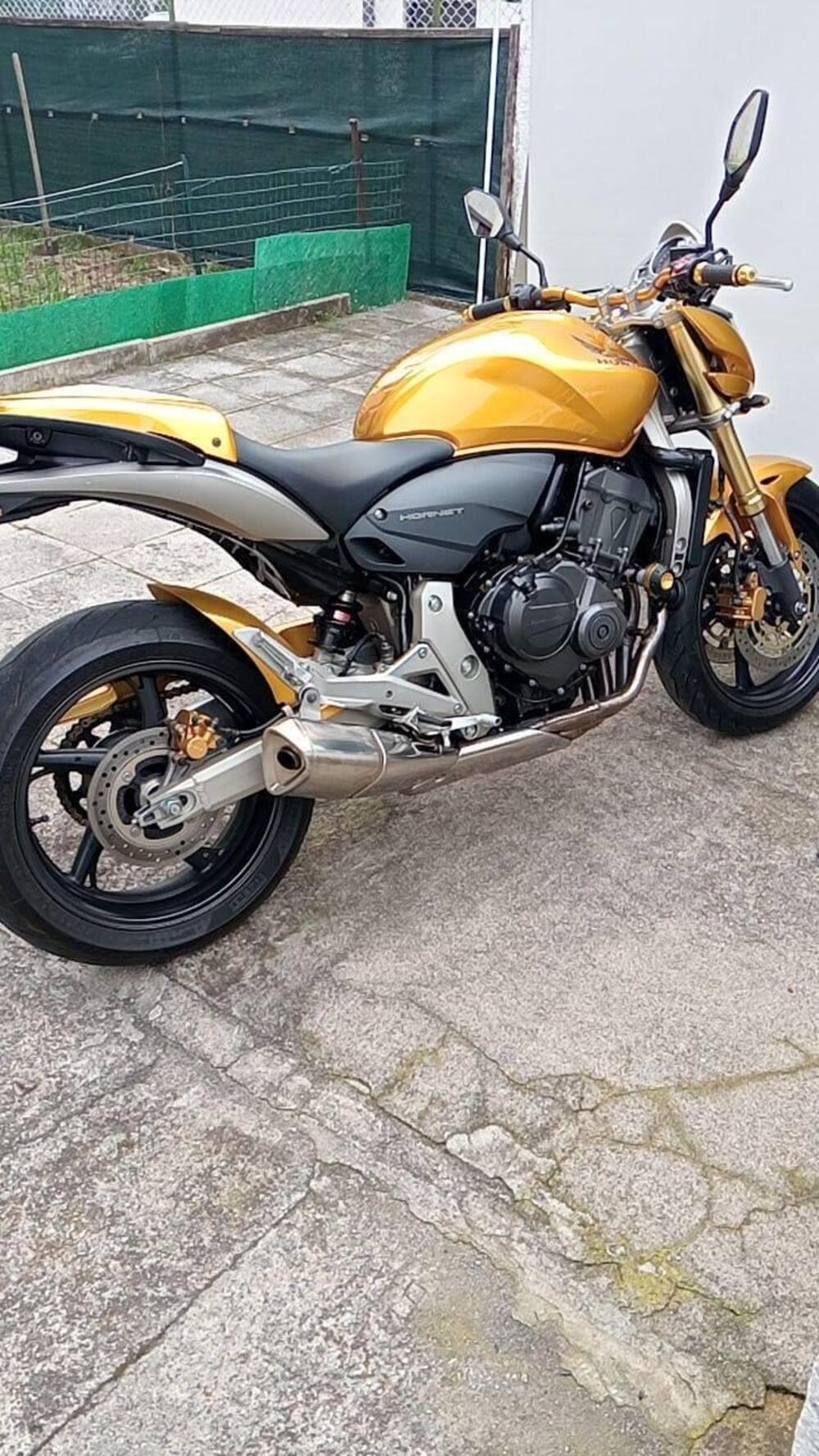 Honda Hornet 600 (2007 - 10)