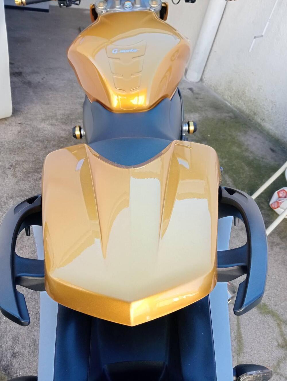 Honda Hornet 600 (2007 - 10) (10)