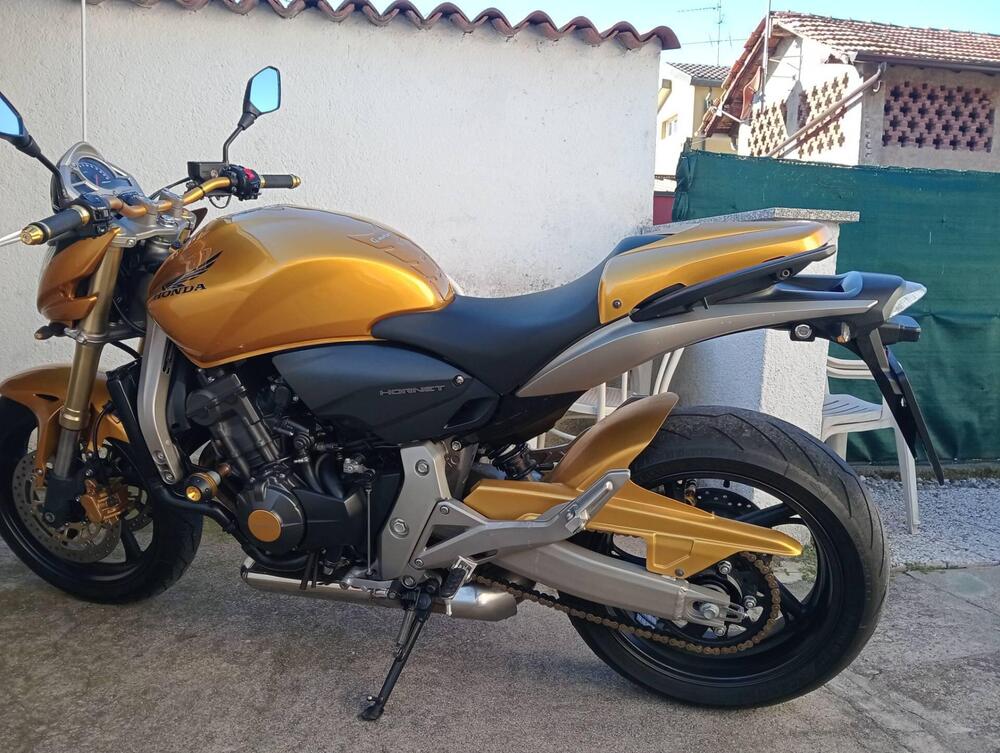 Honda Hornet 600 (2007 - 10) (17)