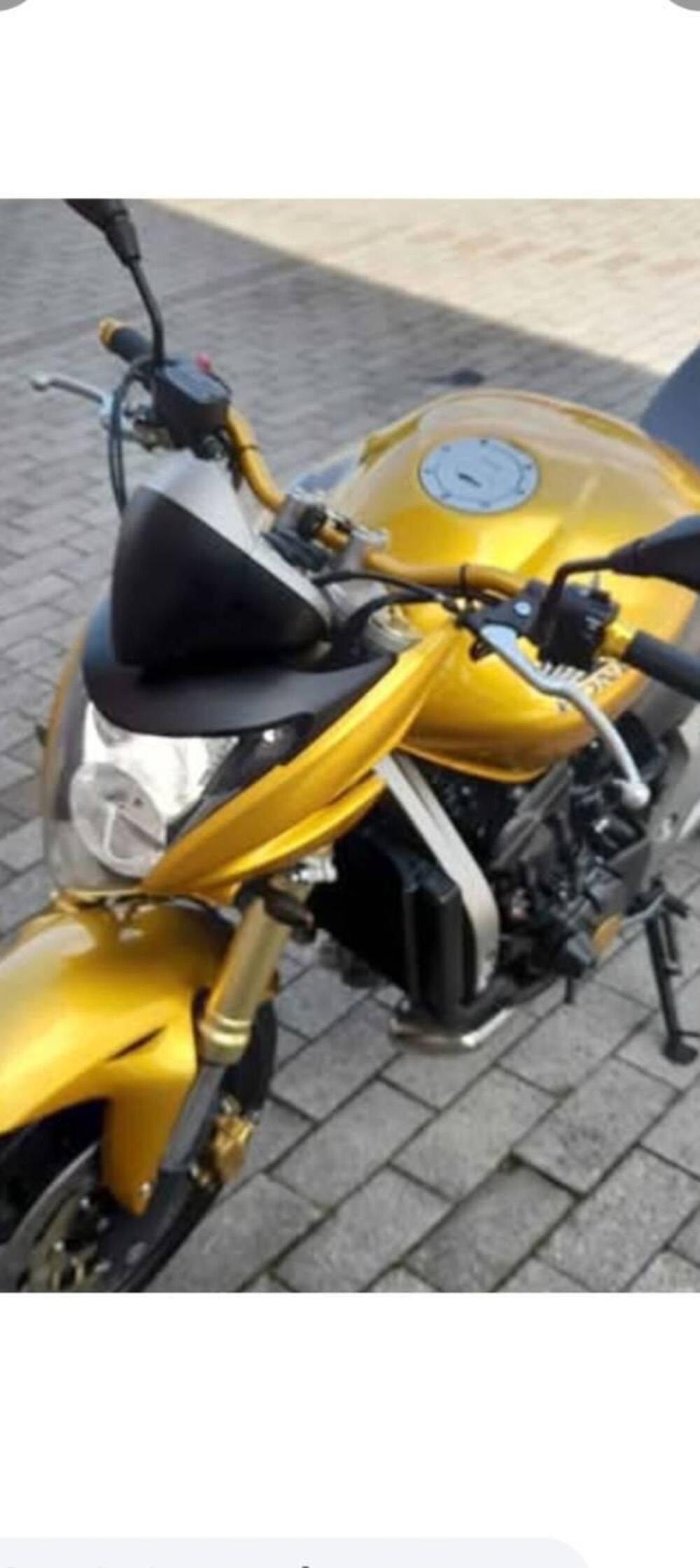 Honda Hornet 600 (2007 - 10) (18)