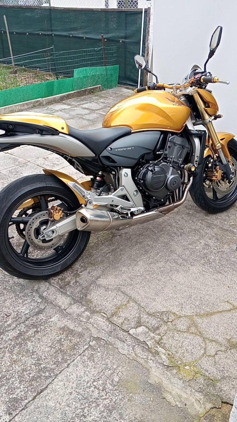 Honda Hornet 600 (2007 - 10) (19)