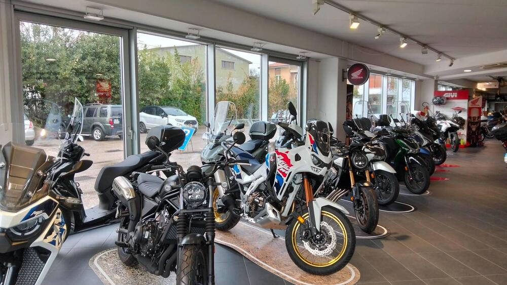 Triumph Bonneville SE (2009 - 13) (19)