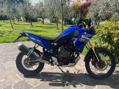 Yamaha T&eacute;n&eacute;r&eacute; 700 (2022 - 24) usata
