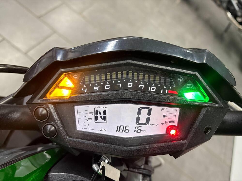 Kawasaki Z 1000 R (2017 - 20) (4)